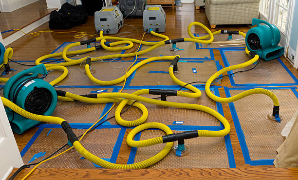 Professional Sewage Cleanup technician working in Malone, WI